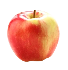 Ambrosia apple