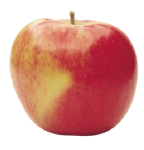 Fuji apple