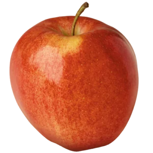 Gala apple