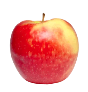 Honeycrisp apple