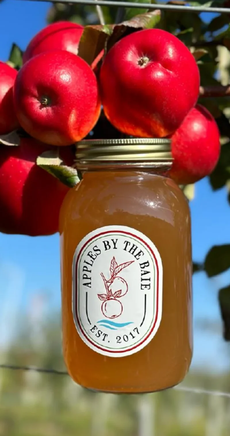 Jar of orchard cider hanging among red apples