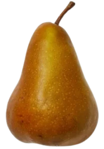Pear